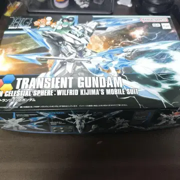 HG 1/144 트랜지언트 건담