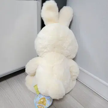 토끼 ED🐰 나의 첫 크록스 ㅋㅋㅋ 결국 크록스를 사게 되네😆 첫