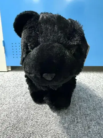 검은 레오파드 봉제 인형