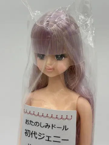 초대 제니 옅은 퍼플 믹스 오타즈미 인형 리카짱 캐슬
