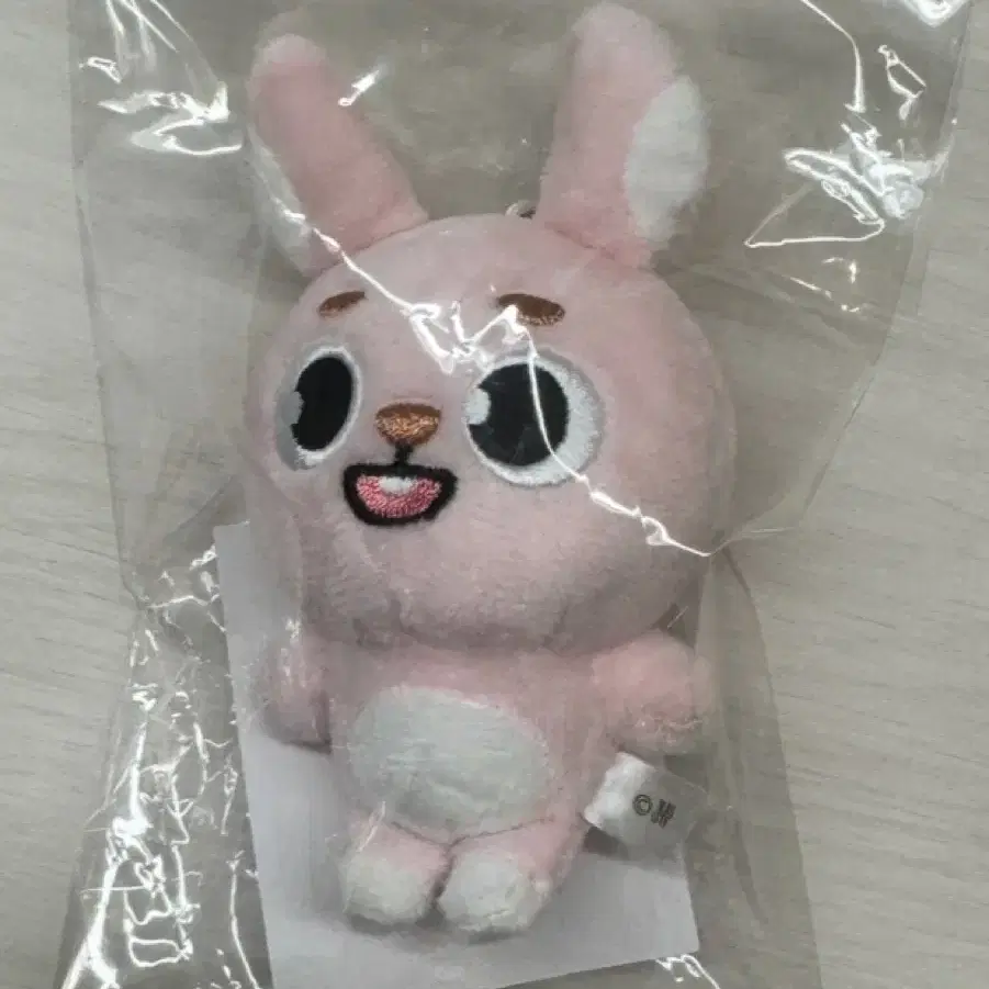 DAY6 | 데이식스 DAY6 Denimalz Bag Charm Japan MD PIL #데이
