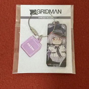 SSSS.GRIDMAN 할로윈 와이어 키링 신조 아카네