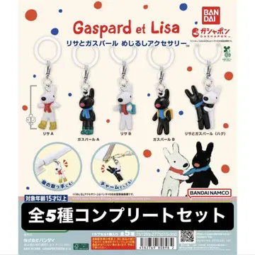 리사와 가스파르 메지루시 액세서리
