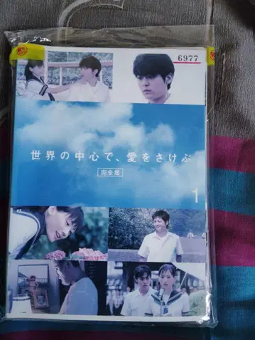 일본 드라마 DVD 세트 3권 세트