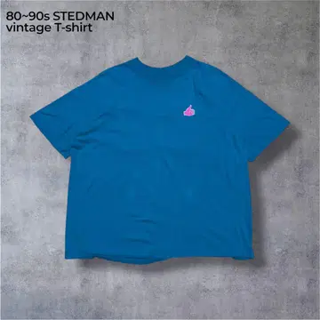 80~90s STEDMAN 프린트 T USA제 싱글 스티치 터콰이즈 블루