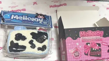 Mellojoy 노토스트 토스트 시리즈 우시