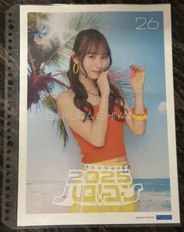 이시야마 사키라 네이비! 2025 핑포스