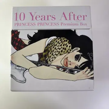 프린세스 프린세스 프리미엄 10년 이후