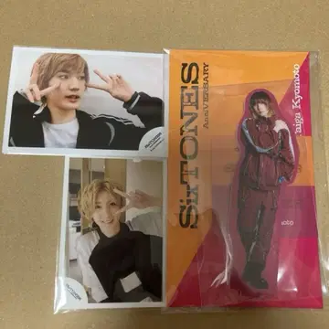 SixTONES 10주년 기념 교모토 타이가 아크릴 스탠드