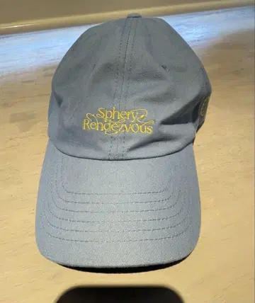 BUMP OF CHICKEN 캡 라이브 한정판 미사용