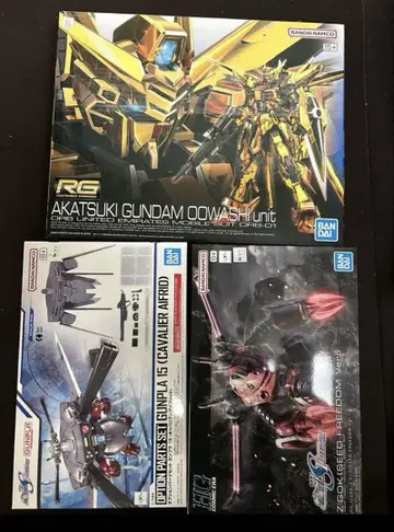 HG 즈고크(SEED FREEDOM Ver.) 캬바쿠라 RG 아카츠키