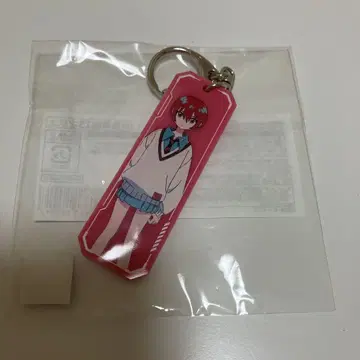 마추 네임 키링 아토레 아키하바라 지크 액스