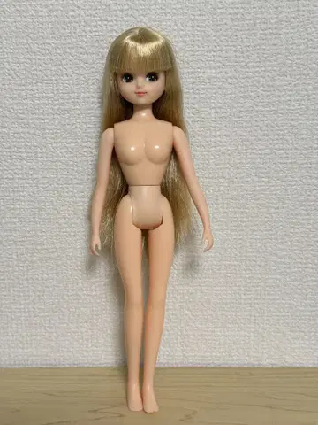 리카짱 캐슬 커스텀 메이 리카짱