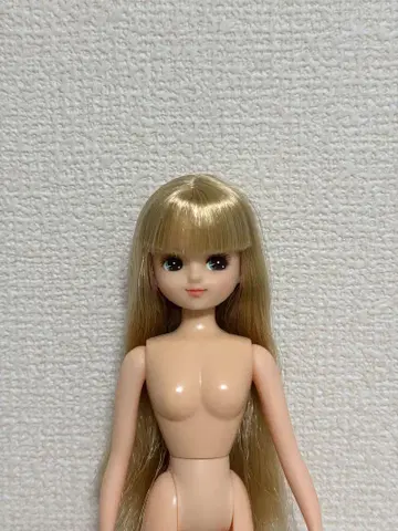 리카짱 캐슬 커스텀 메이 리카짱