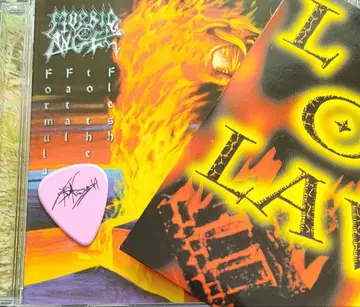 데스 메탈 Morbid angel 모비드 엔젤 레어템