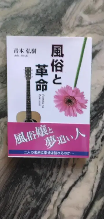 풍속과 혁명 아오키 히로키