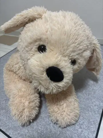 코스트코 큰 개 봉제 인형 베이지