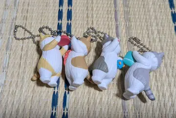 모프 샌드