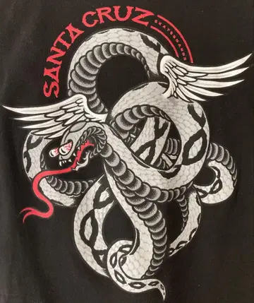 90~00s SANTA CRUZ NHS 택