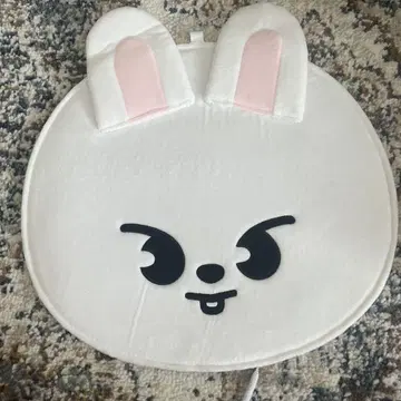 StrayKids 리노 부채 커버