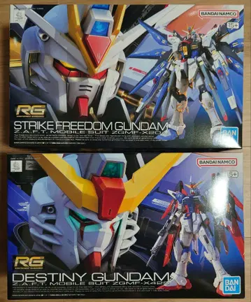 RG 스트라이크 프리덤 + 데스티니 건담