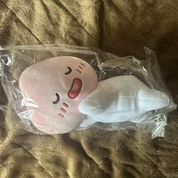 카카오프렌즈 아피치 봉제 인형