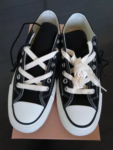 CONVERSE ADDICT/척 테일러/27.0/컨버스