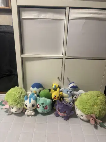 포켓몬 봉제 인형 세트