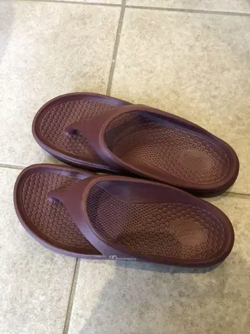 다너 물거미 27cm