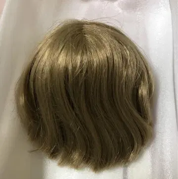 네오 브라이스 커스텀 브라이스 헨리에타즈 홈파티 디폴트 두피