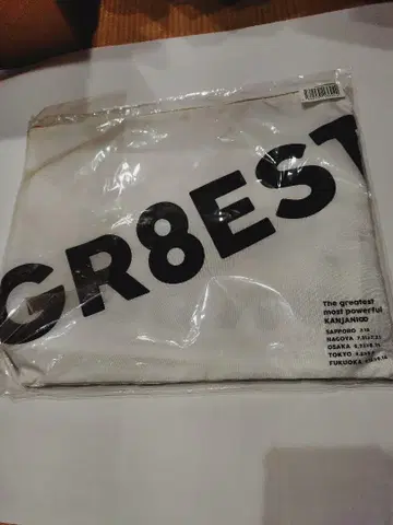 SUPEREIGHT 돔 투어 굿즈 GR8EST 파우치