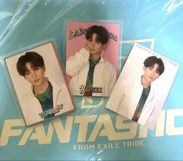 FANTASTICS 야기 유타카 시크레 포토 카드 3장
