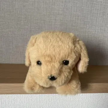 골든 리트리버 모미지노 코도모 봉제 인형