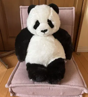 우에노 동물원, 샨샨을 안아보세요