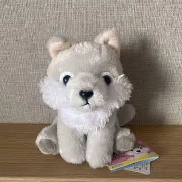 모후토 늑대 모두 친구 ST 봉제 인형 실버 하이이로 늑대