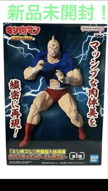 근육맨 완벽 초인 시조편 리얼 피규어