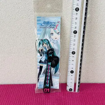 하츠네 미쿠 project DIVA f 스트랩