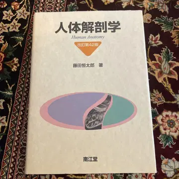 인체 해부학