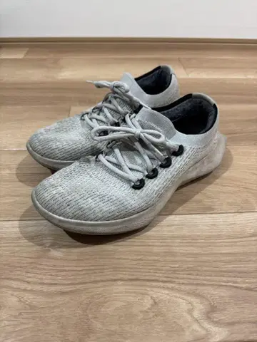 allbirds 트리 대셔 TD2 M9(27cm)