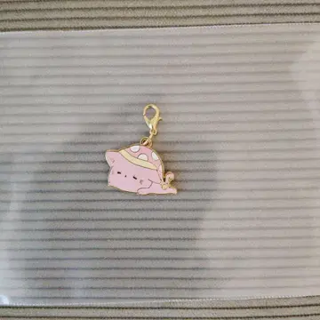 치로피의 평온한 고양이 메탈 참