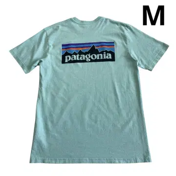 SP18 Patagonia 로고 티셔츠 M 민트 블루 스카이블루 빅 로고