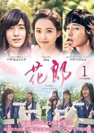 DVD 화랑 파란 전권 세트 전 12권 일본어 더빙 포함
