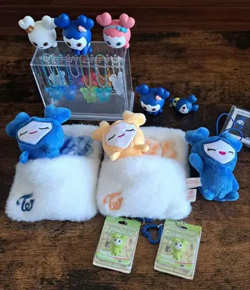 트와이스 세트