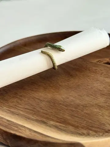 반지 베이비