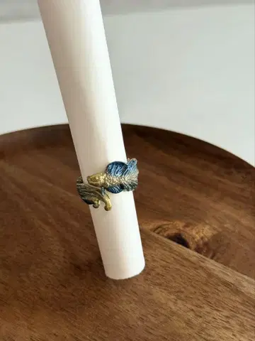 반지 물고기