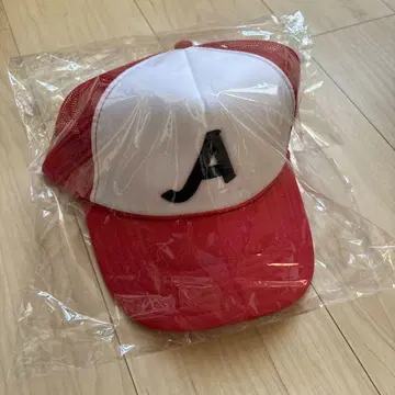 A! group 스에자와 세이야, 마사모토 요시노리, 캡