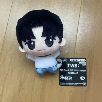 TWS 용재 YOUNGJAE SD 인형