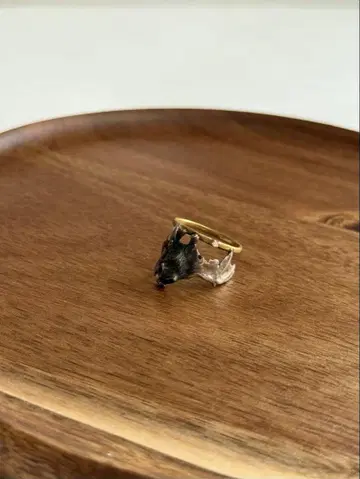 반지 박쥐