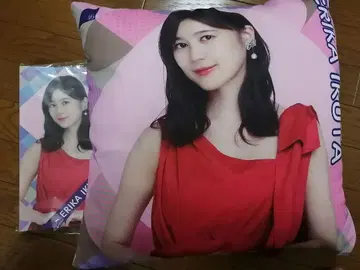 노기사카 이쿠타 에리카 쿠션과 사진 앨범 세트