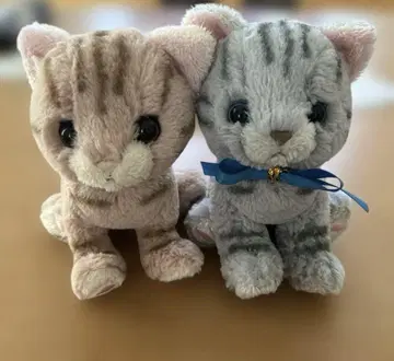새상품급 Kitten 키톤 선 레몬 봉제 인형 아메리칸 숏 헤어